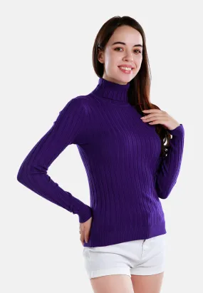 Turtleneck Sweater Top